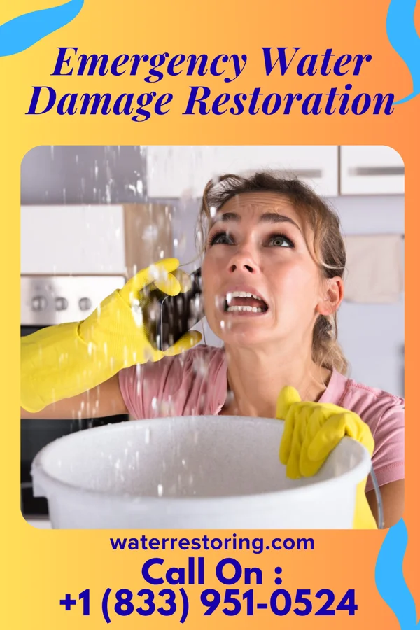 Emergency Water Damage Restoration in Roanoke, IL