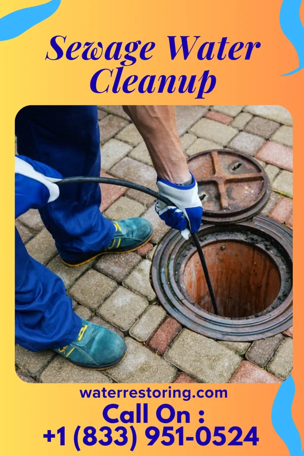 Sewage Water Cleanup in Roanoke, IL